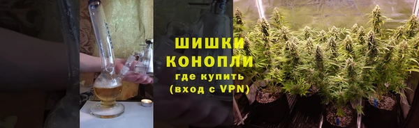 прущие грибы Каменка