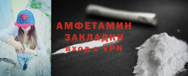 прущие грибы Каменка