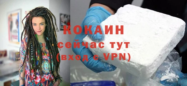 прущие грибы Каменка