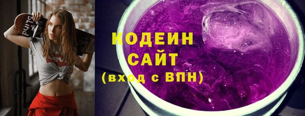 прущие грибы Каменка